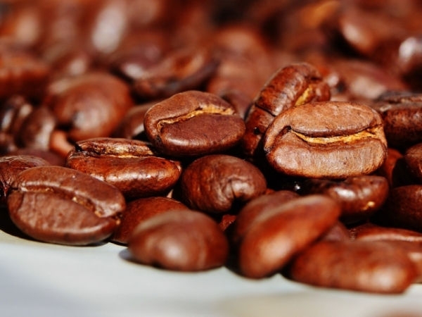 What kind of coffee beans will go into your perfect cup?