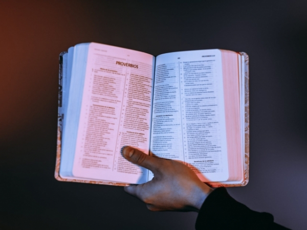 How often do you read the bible?