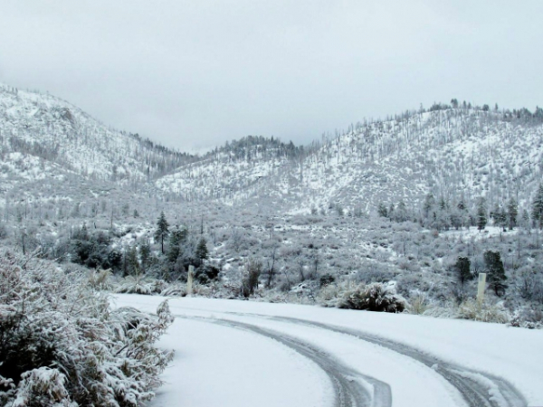 Which climate makes you happiest?