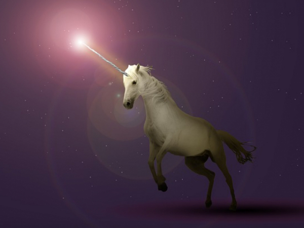 Are unicorns real?