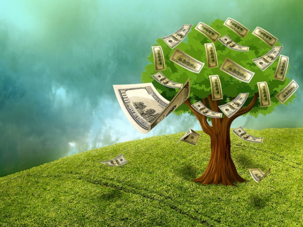 If money grew on trees, you would be a...