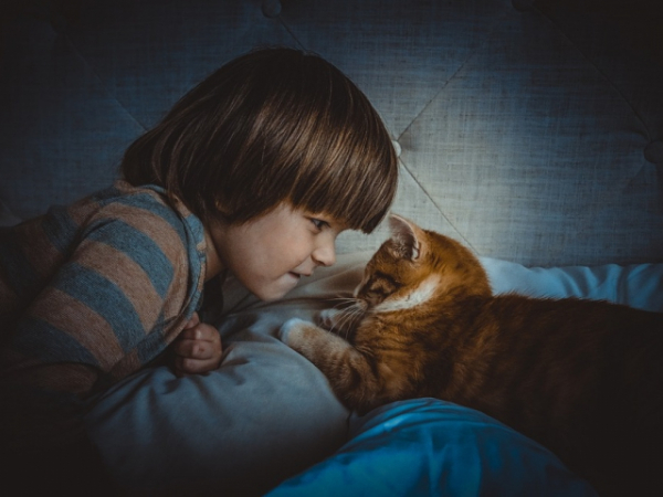 If you had a pet as a child, what was it, if not what would you have liked to have?