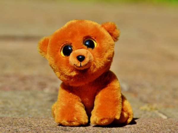 Do you still have your favorite stuffed animal from childhood?