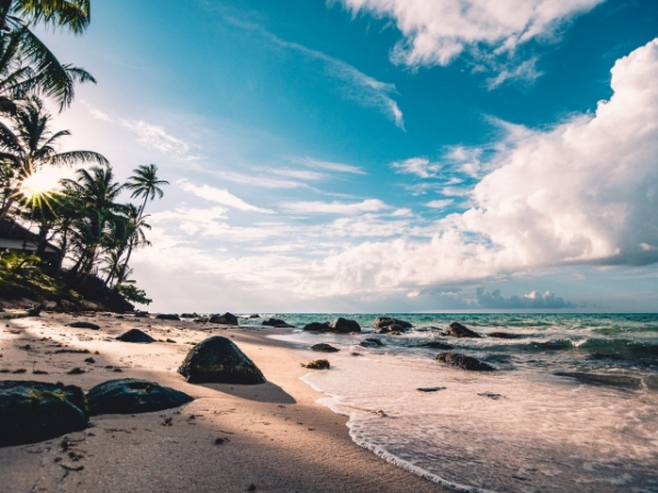 On the beach, you're most likely to be found....