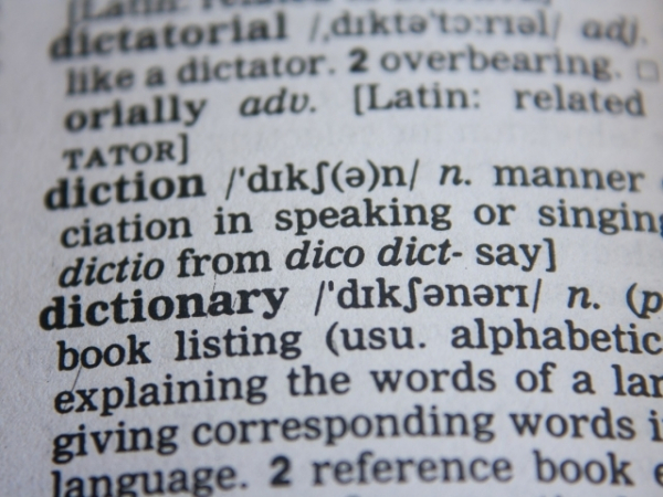 How would you describe your vocabulary in one word?