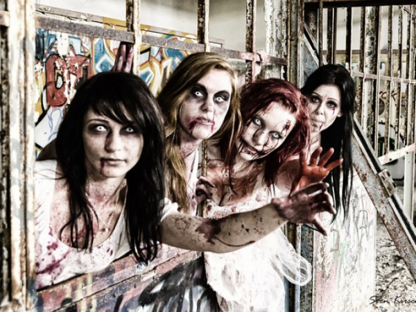 What would you do during a zombie apocalypse?