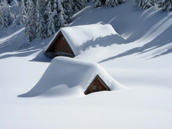 Are you still expected to show up for work when it snows?