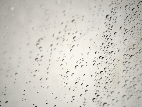 Do you check behind the shower curtain when you go to the bathroom?