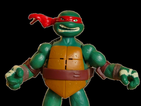 Who's your favorite 'Teenage Mutant Ninja Turtles' character?
