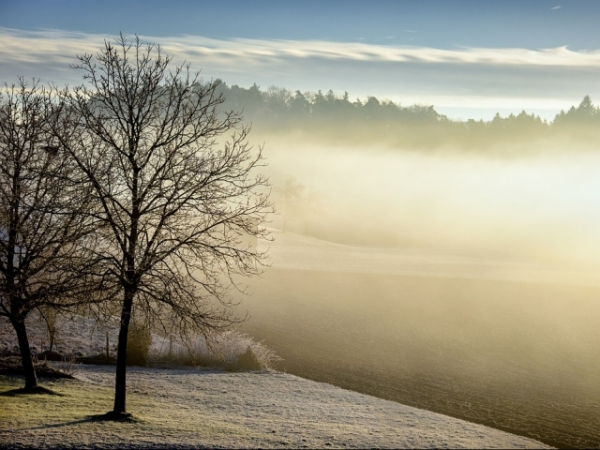 Are you more of a morning or a night person?