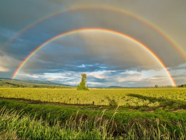 What do you think about when you see a rainbow?