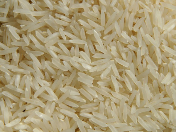 How do you feel about rice?