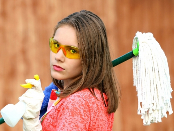 You're only allowed to clean with one thing today. Which do you choose?