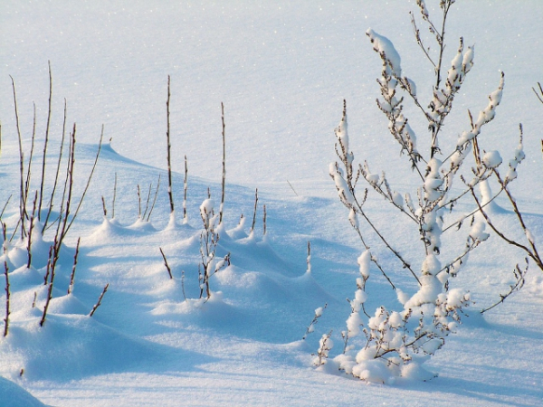 How much snow is a lot of snow?