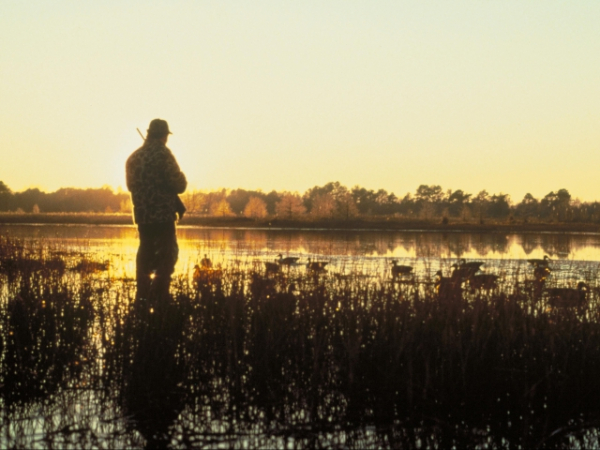 You're starting to get hungry. How do you hunt your food?