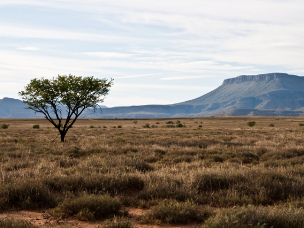 Which of these continent or region of the world has always fascinated you?