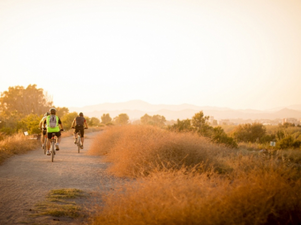 Would you rather spend a day in the city, at the beach, or in the mountains?