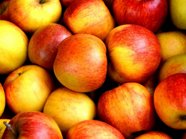If Bob sold 15 apples in a working week, what is the average number of apples he sells each day?