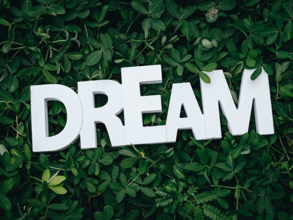 What do you dream about most often?