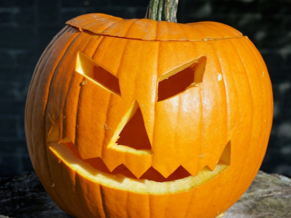 Are you good at carving pumpkins?