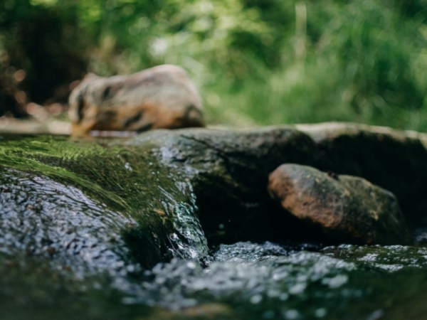 Where will you get fresh drinking water?