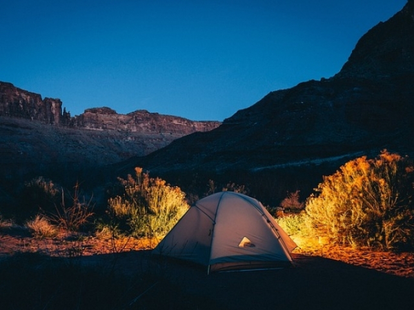 You are camping and you hear a noise. What is most likely outside of your tent?