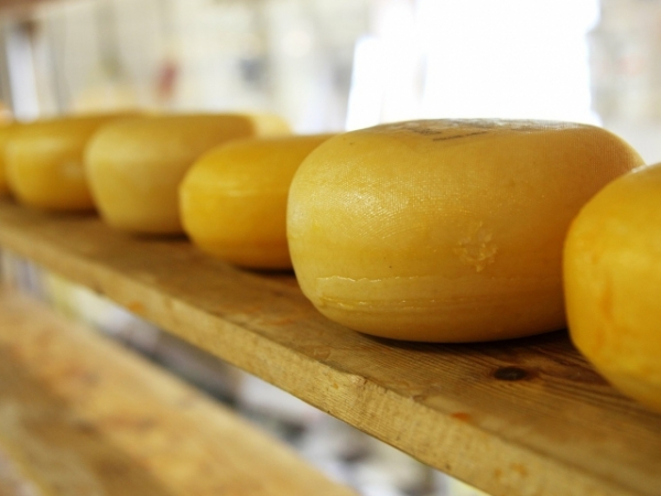 If you could only have one type of cheese for the rest of your life, which would it be?