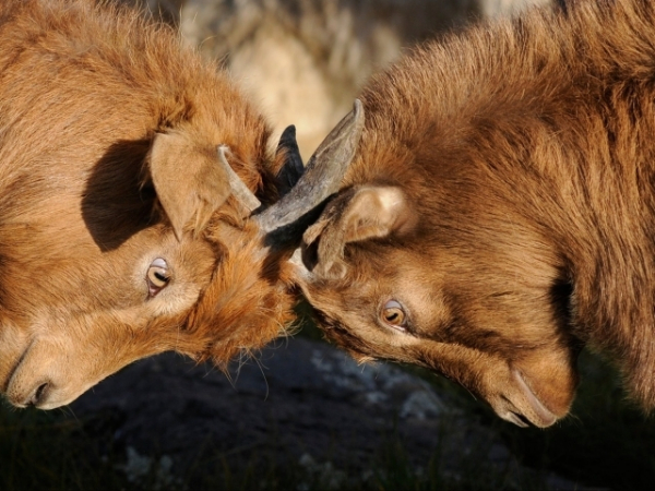 When was the last time you and your partner got in an argument?