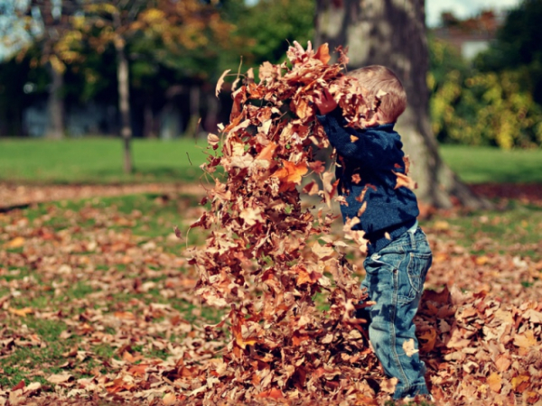 What do you believe is the best part of fall?