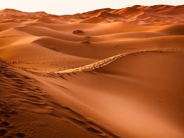 Your continent has a desert. Would you ever visit it?