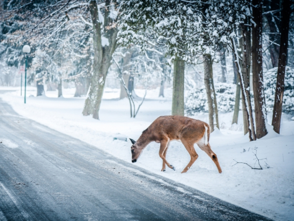 Do you believe a long cold spell in the weather can be brisk and refreshing?