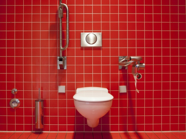 What godson to Queen Elizabeth I invented the first flushing toilet in 1597?