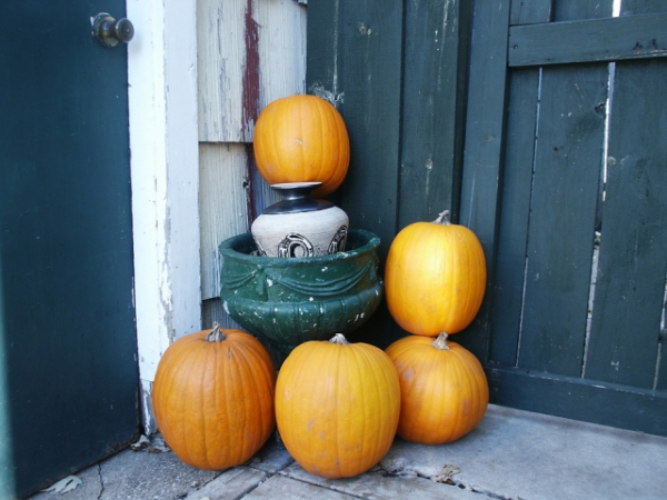 Are you good at picking out the perfect pumpkin?