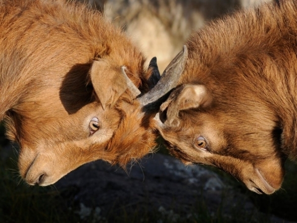 Two of your co-workers are fighting. What do you do?