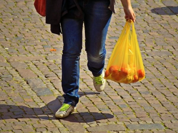 How often do you use plastic bags to carry your groceries?