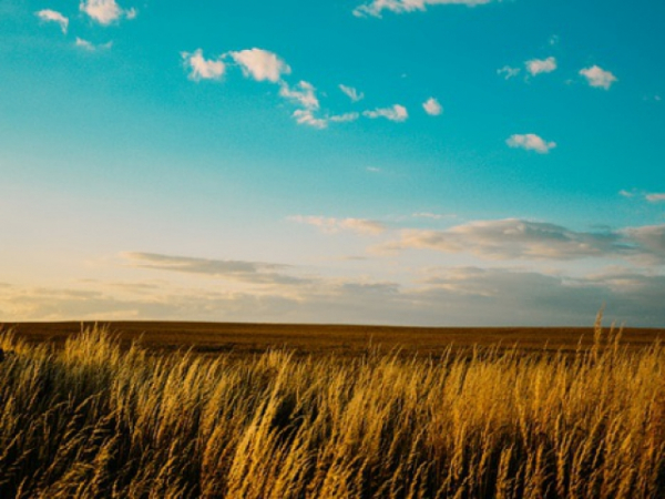 Does your child prefer to be indoors or outdoors?