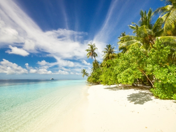 If you were sent to a deserted island and could bring one item, what would it be?