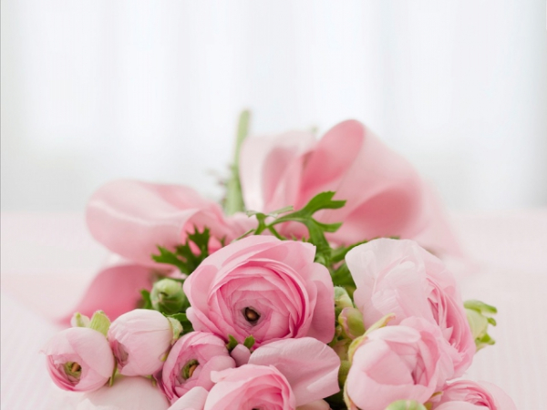 Do you keep fresh flowers in your house?