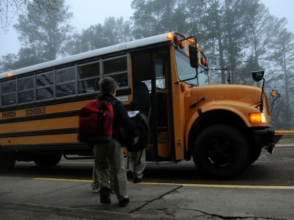 Did you ride the bus to school?