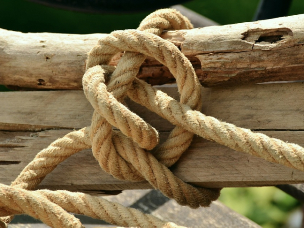 How many different knots do you know how to tie?