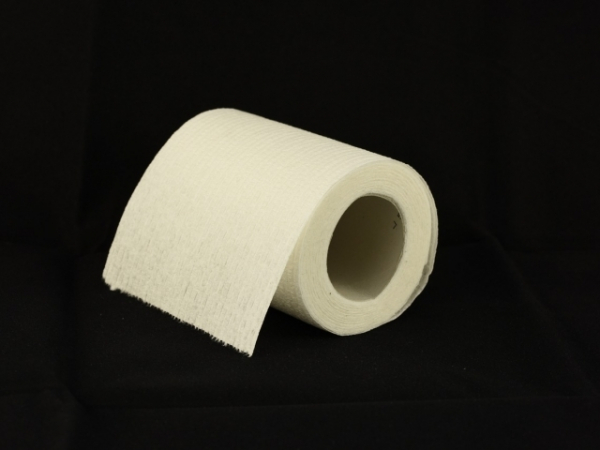 When you put on a new roll of toilet paper, which way does it face?