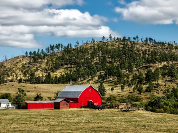 Would you rather live on a sprawling ranch or reside in a luxury penthouse?