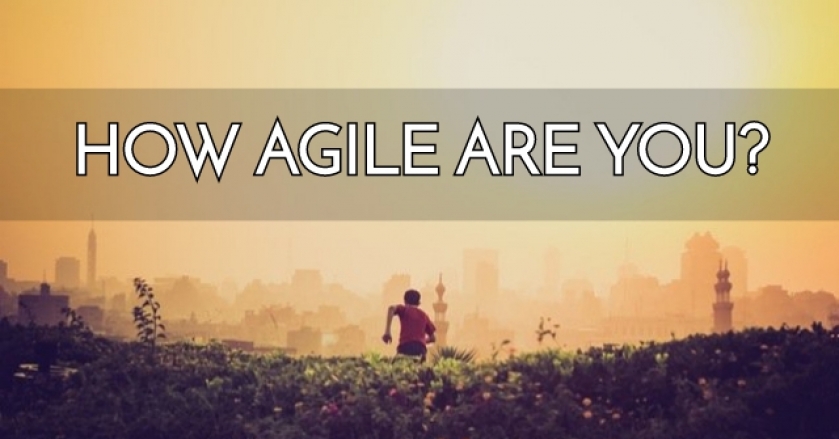How Agile Are You?