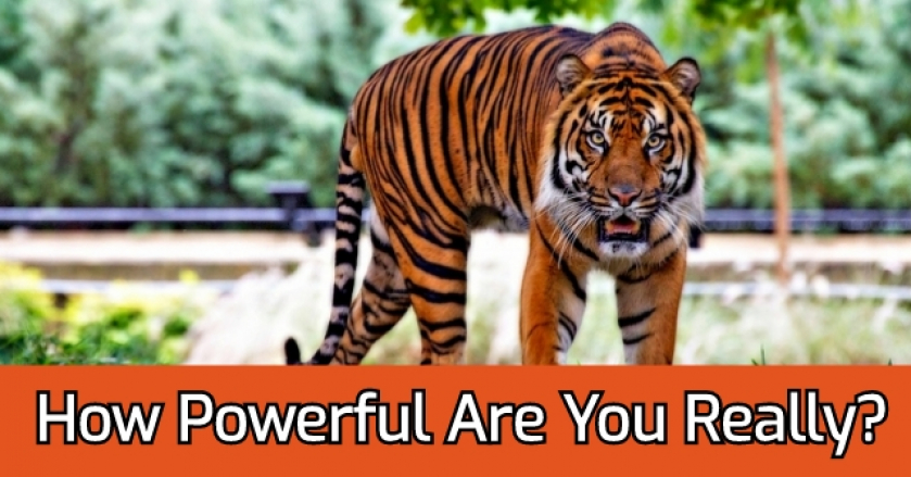 How Powerful Are You Really?