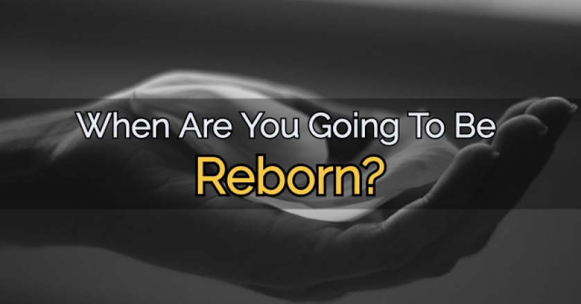 When Are You Going To Be Reborn?