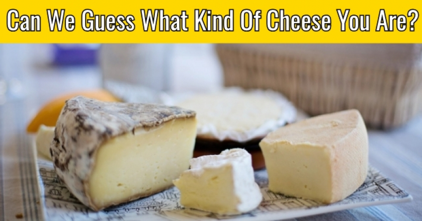 Can We Guess What Kind Of Cheese you Are?