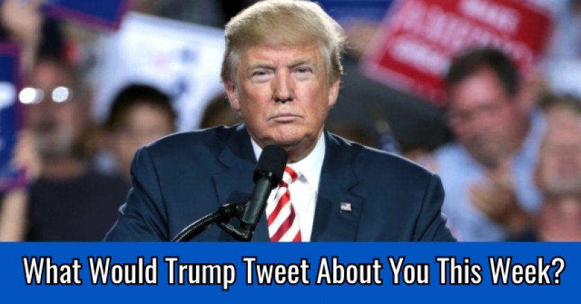 What Would Trump Tweet About You This Week?