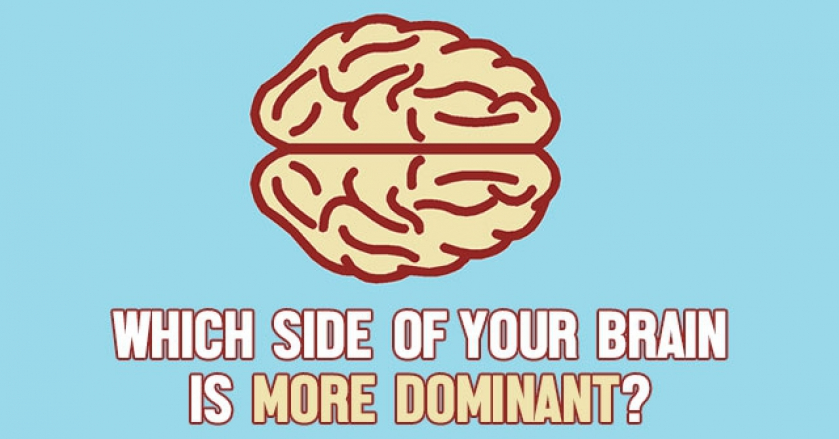 Which Side Of Your Brain Is More Dominant?