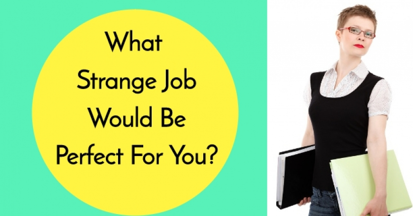 What Strange Job Would Be Perfect For You?