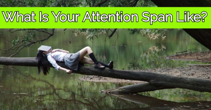 What Is Your Attention Span Like?